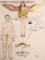 The Evolution of Angelic Species